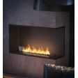 Біокамін Infire BASIC R1000 Біокамін Infire BASIC R1000