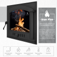 Дверцята для каміна Iron Fire Style 50 485х485 мм Дверцята для каміна Iron Fire Style 50 485х485 мм