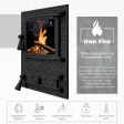 Дверцята для печі Iron Fire Vision 370х490 мм