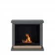 Камінокомплект Tagu HAGEN FreeFlame сірий