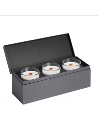 Потріскуюча свічка Tagu Candleplace потрійна