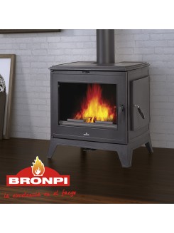 Чавунна піч Bronpi DERBY 14